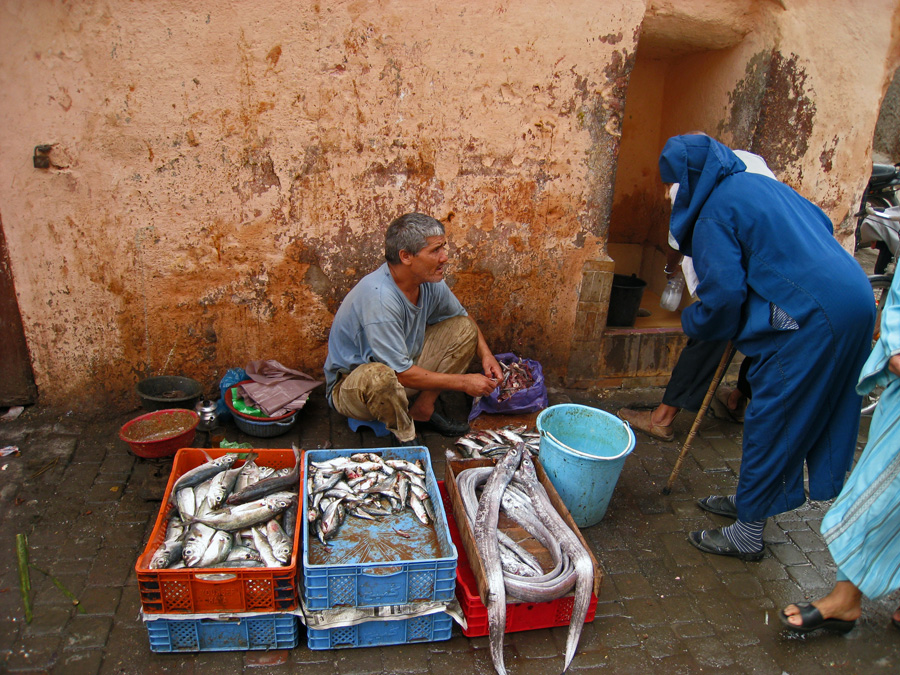 [- Pescadero -] Rue Dabachi, Marrakech / مراكش (Marruecos)