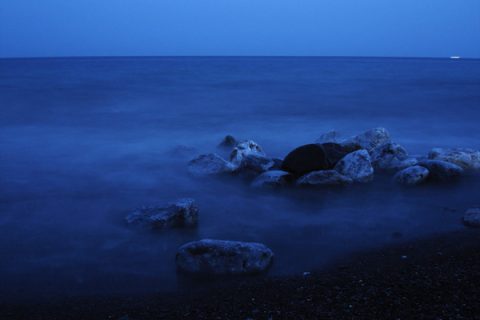 Oscencia