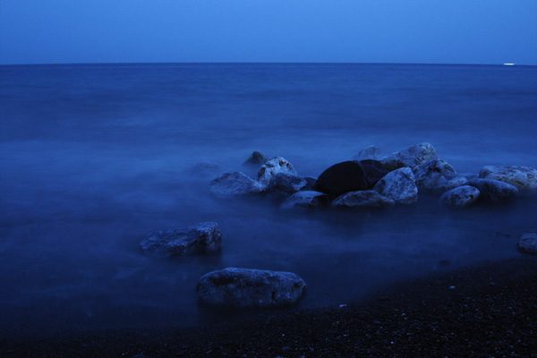 Oscencia