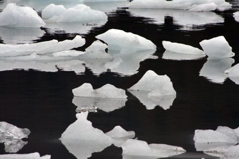 Mini Icebergs