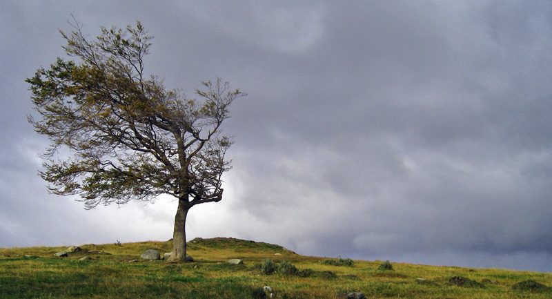 Viento Antártico