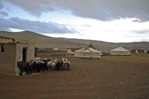 Resguardadas