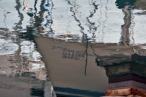 Bajo el mar