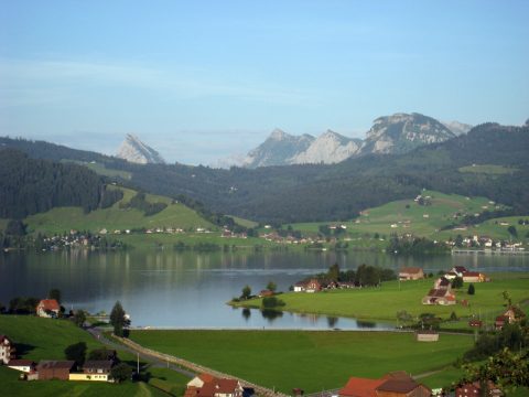 Como Heidi