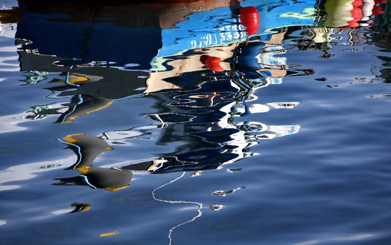 Reflexos