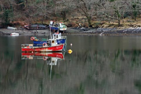 Reflejos
