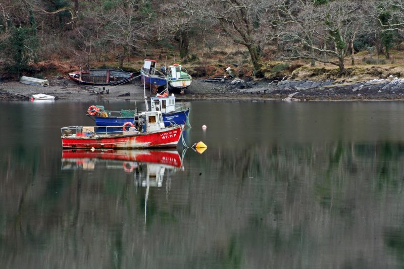 Reflejos
