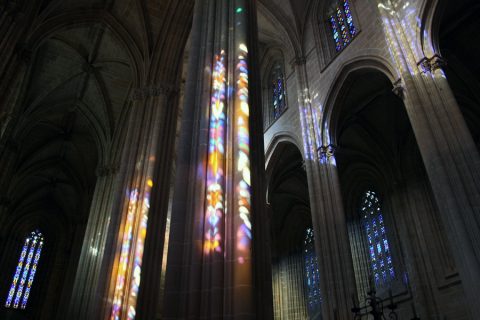 Reflejos